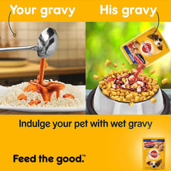 Pedigree Adult Wet Dog Food, Chicken & Liver Chunks in Gravy, 70 g (Pack of 15)