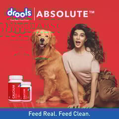 Drools Absolute Calcium Tablet- Dog Supplement, 110 Pieces