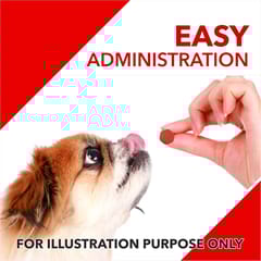 Drools Absolute Calcium Tablet- Dog Supplement, 110 Pieces