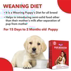 Drools Pup Booster - Puppy Weaning Diet for All Breeds, 300 gram
