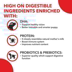 Drools Pup Booster - Puppy Weaning Diet for All Breeds, 300 gram