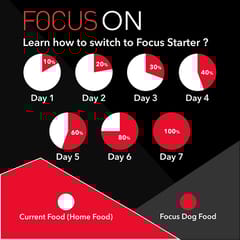 Drools Focus Starter Super Premium Dog Food, 4kg