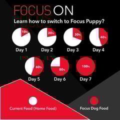 Drools Focus Adult Super Premium Dog Food, 4kg