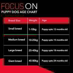 Drools Focus Adult Super Premium Dog Food, 4kg