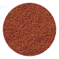 Hikari Tropical Micro Pellets - Specialist's Fish Food - For Tetra, Barbs and Small-Mouthed Fish, 22g