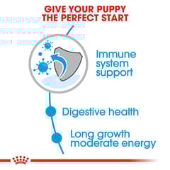 ROYAL CANIN Maxi Puppy Dog Food, 10 KG