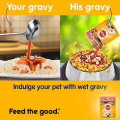 PEDIGREE GRAVY with CHICKEN CHUNKS, 130 g - PUPPY (21-PDG-PCC-130)