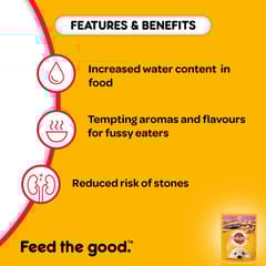 PEDIGREE GRAVY with CHICKEN CHUNKS, 130 g - PUPPY (21-PDG-PCC-130)
