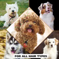 WAHL Shampoo Concentrate, 700 ml - OATMEAL, PET FRIENDLY FORMULA (0820004-700IN)