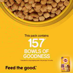 PEDIGREE DRY DOG FOOD ADULT, 15 KG - CHICKEN & VEG (21-PDG-ACV-15K)