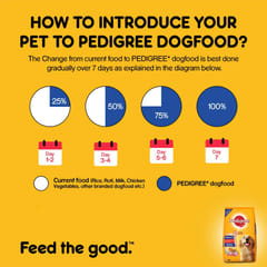 PEDIGREE DRY DOG FOOD ADULT, 15 KG - CHICKEN & VEG (21-PDG-ACV-15K)