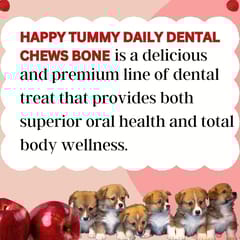 GNAWLERS HAPPY TUMMY DAILY DENTAL CHEWS SMALL, 150g X 21 PCs - APPLE (19PTDGNWHTA21)