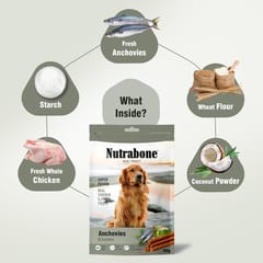 NUTRABONE SUPER FUSION Dog Treat, 100 g - ANCHOVIES & COCOANUT (19-NB-ANC-X1K)