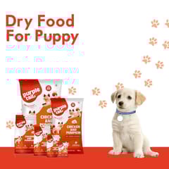 PURPLE TAIL PUPPY DRY DOG FOOD, CHICKEN & PUMPKIN - 3 KG (21-PTL-PCP-3X0)