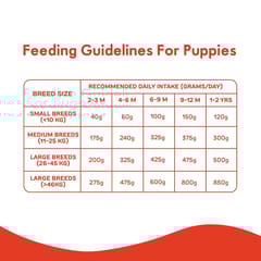 PURPLE TAIL PUPPY DRY DOG FOOD, CHICKEN & PUMPKIN - 3 KG (21-PTL-PCP-3X0)