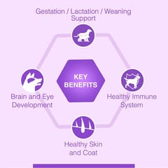 CANINE CREEK CLUB, 20 KG ALL BREED ALL AGE FORMULA BREEDER PACK(21-CC-CLB-20K)