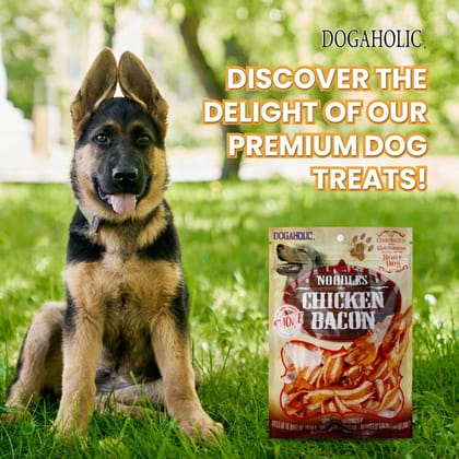 Rena Noodles Chicken Bacon Strips Smoke Flavour (Pack of 2),All Life Stages